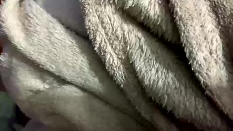 little_sissy_wendy online show from 02/28/25, 09:33