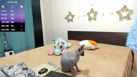 Kat online show from 02/21/26, 11:17