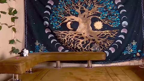 Sofia online show from 01/29/25, 08:35