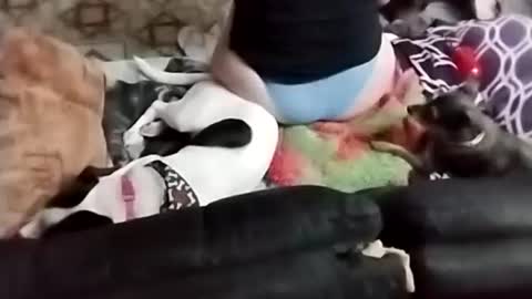 Snapshot of littlebigsquirt7945 chatting on 09/22/25, 02:24 Sady Jayne online show from 09/22/25, 02:24