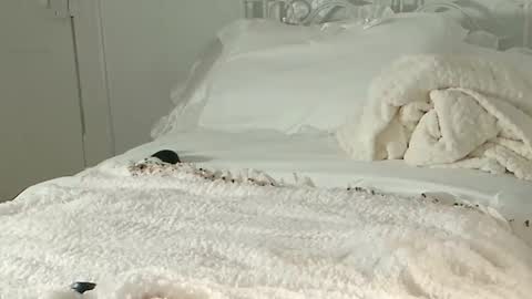 Audra A online show from 02/01/25, 11:16