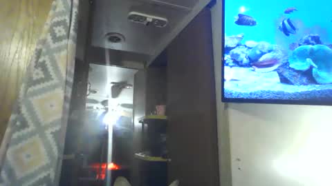 Snapshot of littlegrey376 chatting on 03/02/26, 05:08 littlegrey376 online show from 03/02/26, 05:08