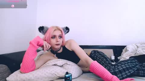 Snapshot of littlepinkcat chatting on 04/18/26, 06:34 Felix online show from 04/18/26, 06:34