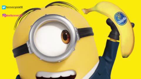 Pinky online show from 12/04/24, 09:07