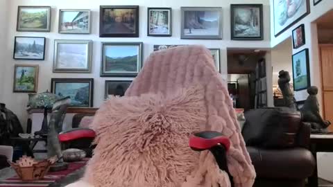 Miss D   Shows Mon Wed  Fri online show from 05/18/26, 06:36