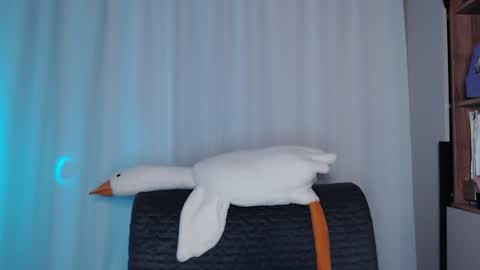 Snapshot of littlesadcabbage chatting on 12/11/24, 03:24 Sonnenschein online show from 12/11/24, 03:24