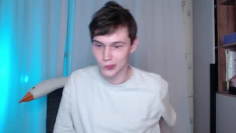 Snapshot of littlesadcabbage chatting on 12/19/24, 01:07 Sonnenschein online show from 12/19/24, 01:07