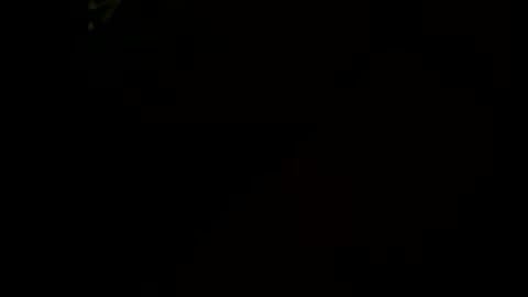 Little Tj online show from 01/17/26, 06:29