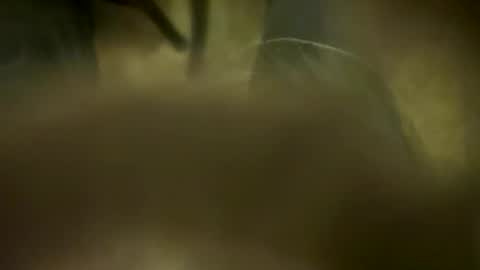 Little Tj online show from 04/06/26, 04:57