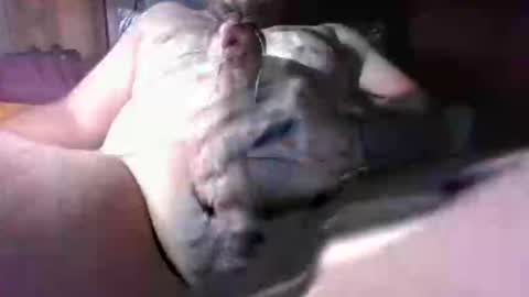 litwinpaweel online show from 12/02/25, 08:26