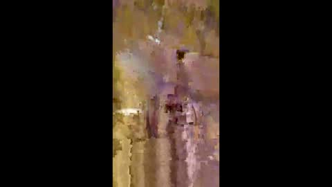 livingdata011010 online show from 05/20/26, 01:34