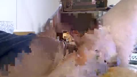 lixxxalot online show from 06/04/26, 05:52