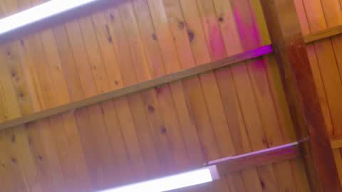  LIZBETH ROSS  online show from 01/09/26, 10:18