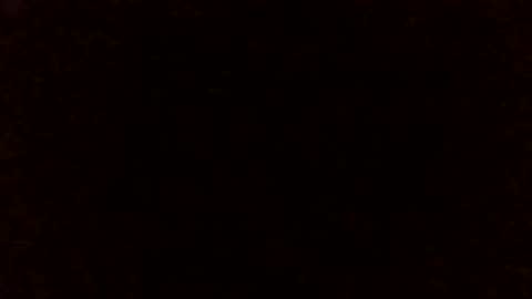 Lizzie Vonn online show from 04/25/26, 12:24