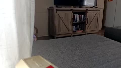 Snapshot of ljandcherry chatting on 09/11/25, 05:02 LjCherry online show from 09/11/25, 05:02