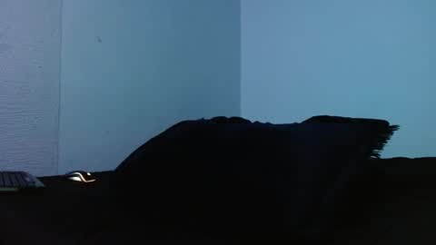 lliamm 2 online show from 09/27/25, 05:23