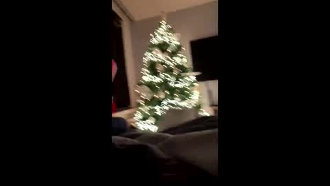 Cumshooter online show from 12/08/24, 12:18