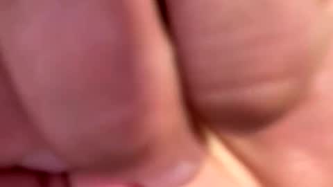locsgunna916 online show from 06/03/26, 03:31