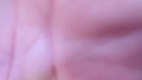 logan online show from 04/15/26, 12:12