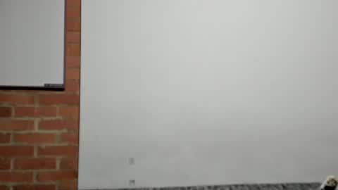 Logan online show from 04/09/26, 03:06