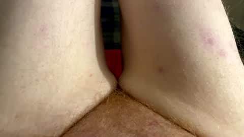 Kitty online show from 07/30/26, 08:02