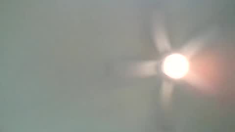 long1969dong online show from 02/21/25, 02:17