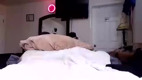 Snapshot of lookatmecum4you chatting on 10/17/25, 08:28 lookatmecum4you online show from 10/17/25, 08:28