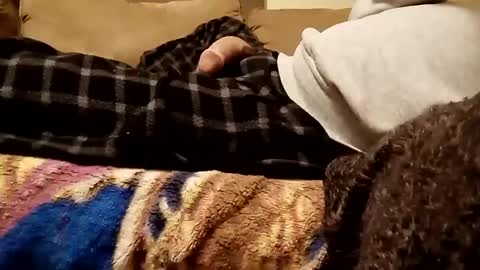 looking4bush online show from 12/03/24, 07:21