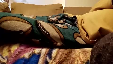 looking4bush online show from 12/15/24, 08:04