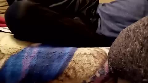 looking4bush online show from 11/13/25, 06:01