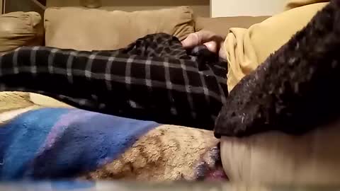 looking4bush online show from 01/13/26, 03:34