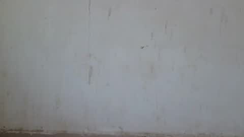 Loraa online show from 06/28/26, 12:49