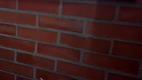 carolina online show from 10/23/25, 08:29