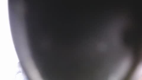 lorexxw online show from 07/09/26, 12:15