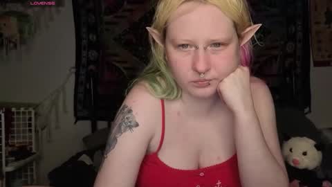 Lori Critter online show from 05/16/26, 12:40