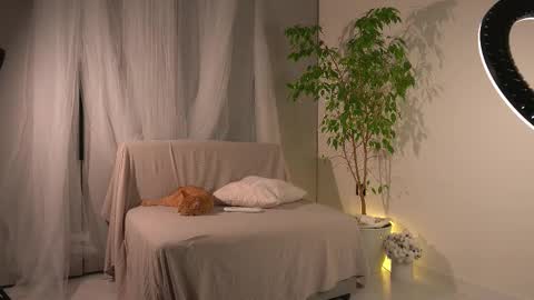 Lorrie online show from 11/24/25, 11:21