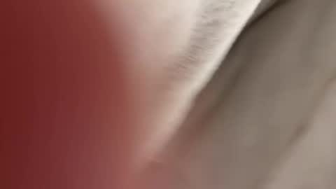 lost_surprise online show from 04/14/26, 03:56