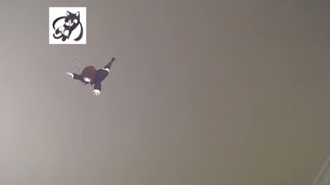 nefisa nef online show from 03/02/25, 12:31