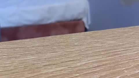  Lou Rosse  online show from 01/22/25, 08:49