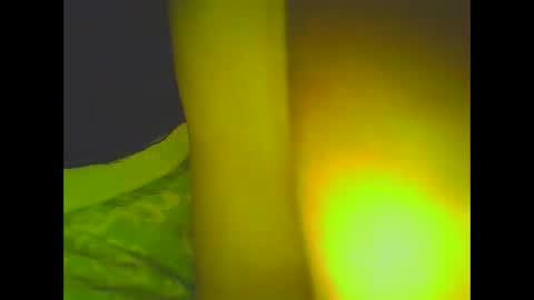 PleasureX online show from 03/06/25, 08:30