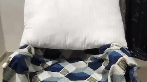 Riva online show from 03/27/26, 10:37