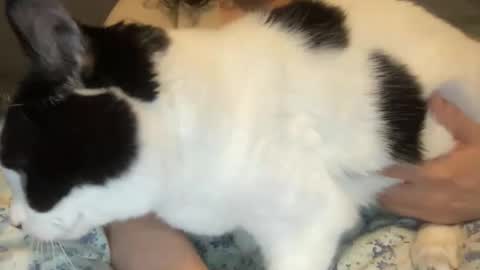 Kate online show from 03/01/26, 12:40