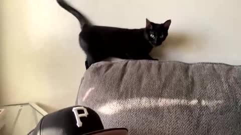 Snapshot of lovecurve_ chatting on 03/07/25, 01:09 lovecurve_ online show from 03/07/25, 01:09