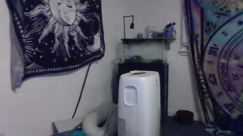 Snapshot of lovefun11334 chatting on 12/04/24, 03:37 Bigtitsgirl113 online show from 12/04/24, 03:37