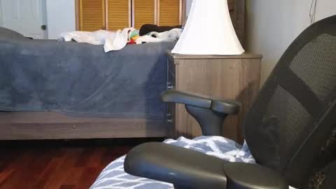 Snapshot of lovelace390 chatting on 11/03/25, 03:19 Amber online show from 11/03/25, 03:19