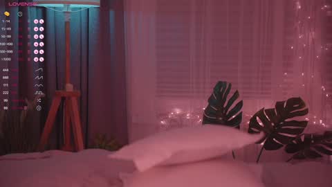 Nelly online show from 12/25/24, 08:50