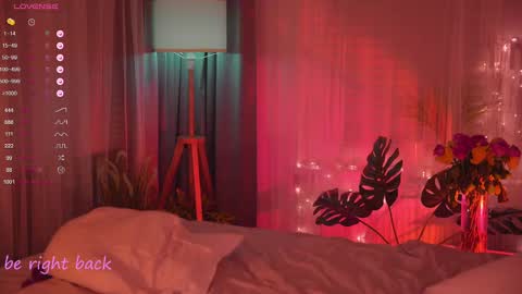 Nelly online show from 02/17/25, 06:04