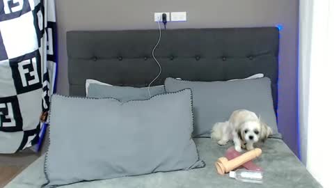 Snapshot of lovely_jastine chatting on 12/02/24, 01:58 Jastine online show from 12/02/24, 01:58