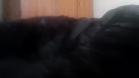 Snapshot of lovely_sweet_girl chatting on 01/01/25, 04:07 katrina follow me guys online show from 01/01/25, 04:07