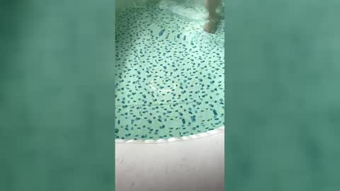 lovelyladyflaccid online show from 05/31/26, 06:09